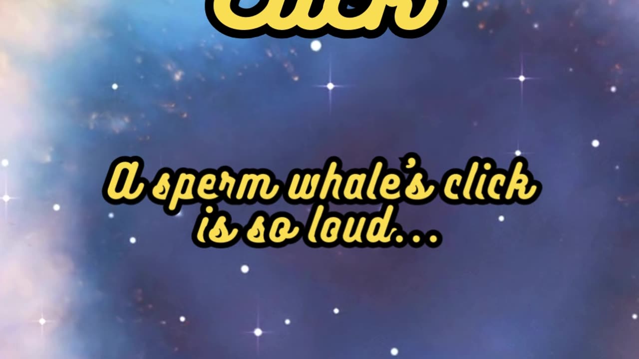 Animal Facts Sperm Whale Click #shorts