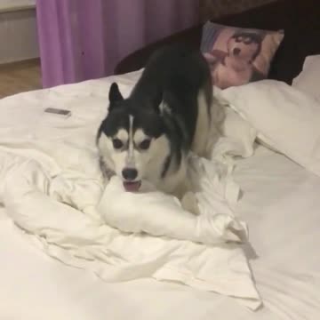 Fretting about staying alone in an empty room