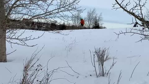 Snowboarding: My Boys having fun on the slopes
