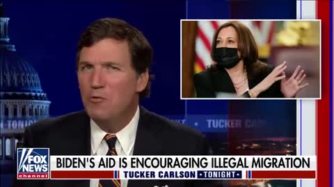 Tucker: Kamala Harris is no genius, obviously, Biden's aid is encouraging illegal migration