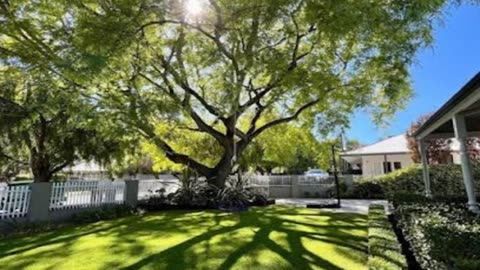 If you are looking for Hedge trimming in Cottesloe