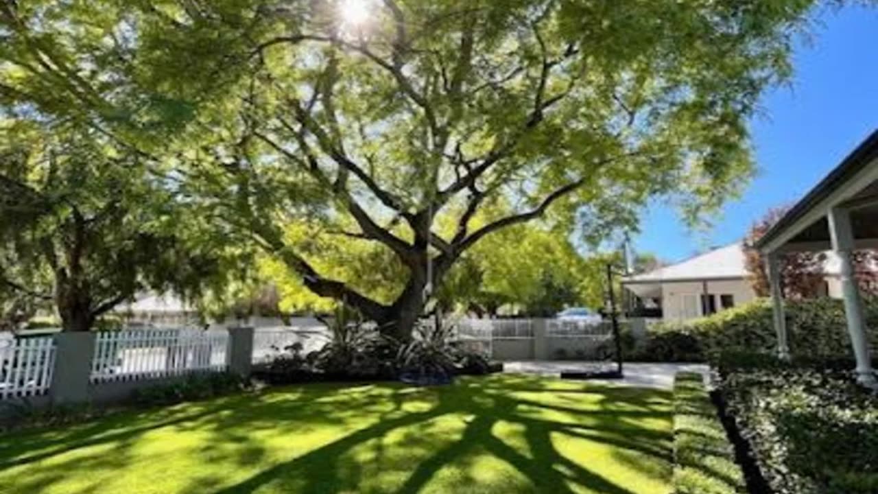 If you are looking for Hedge trimming in Cottesloe