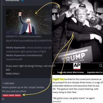 🐸 Do you believe in coincidences? FIGHT, FIGHT, FIGHT!