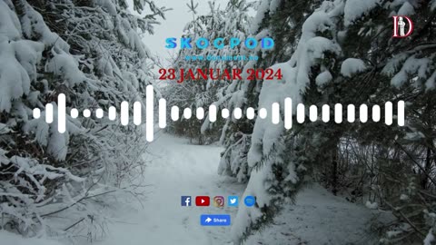 Skogpod 23. januar 2024