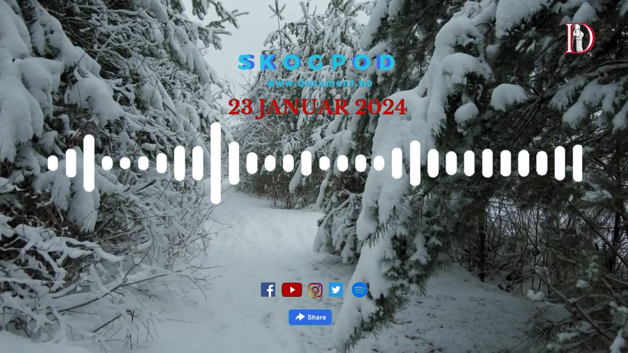 Skogpod 23. januar 2024
