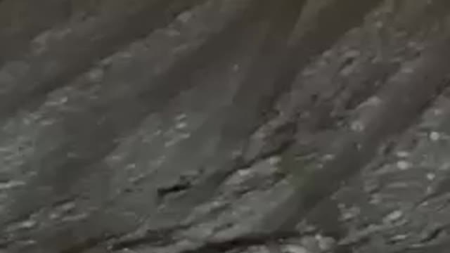 Justa Sleddin