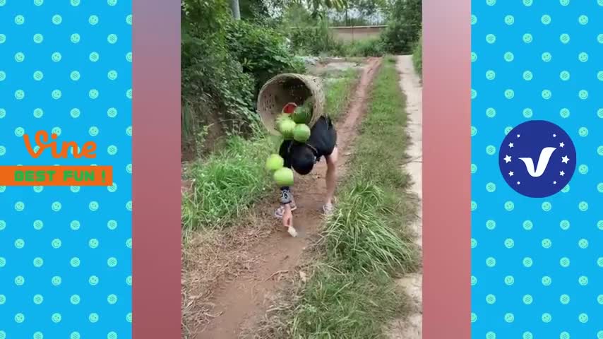 New Funny Videos 2020 ● People doing stupid things P200
