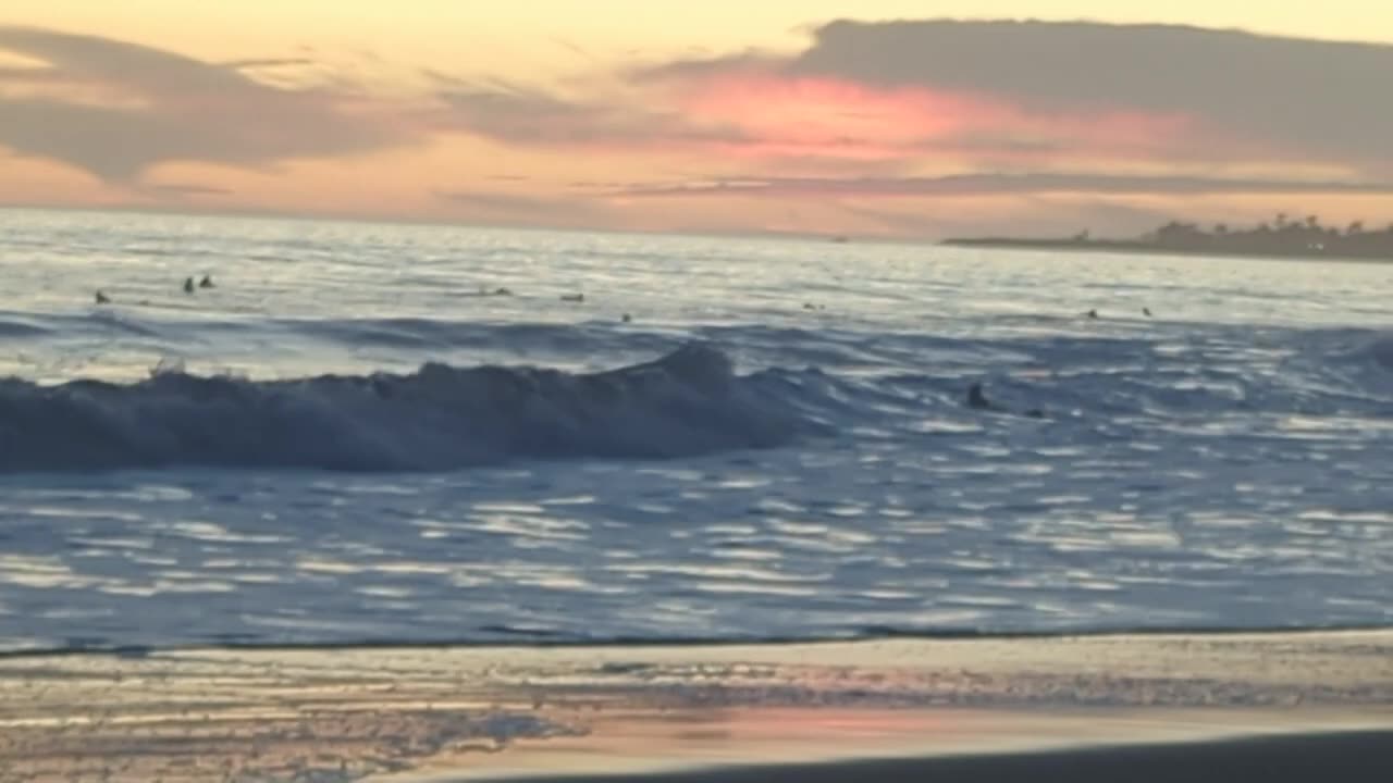 Happy Beach Time