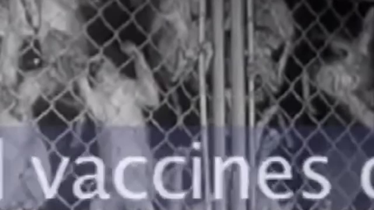 Neste Filme Chocante, Um Cientista de Vacinas Top Merck ( Dr. Maurice Hilleman) Admite Abertamente A Presença De Mortal SV 40 Em Vacinas contra a Pólio. Este Cara É O Desenvolvedor Da Vacina MMR Para Merck.