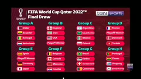 FIFA World Cup Qatar draw