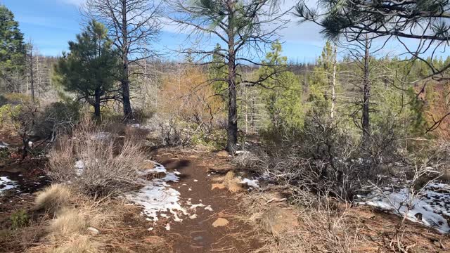 Hiking Variety, the Spice of Life – Whychus Creek – Central Oregon