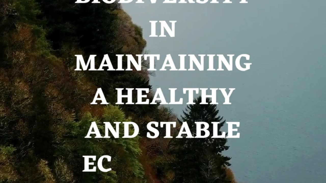 The Vital Role of Biodiversity in Ensuring a Healthy and Stable Ecosystem