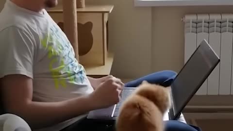 Funny animals - Funny cats and dogs - Funny animal videos 2023🤣