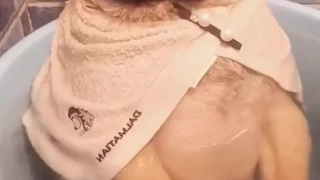 Jacuzzi