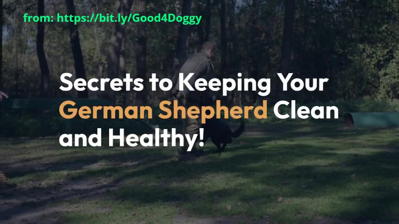 Keep Your German Shepherd Clean and Healthy with These Secrets!