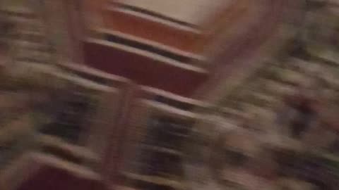 Jumping rabbit