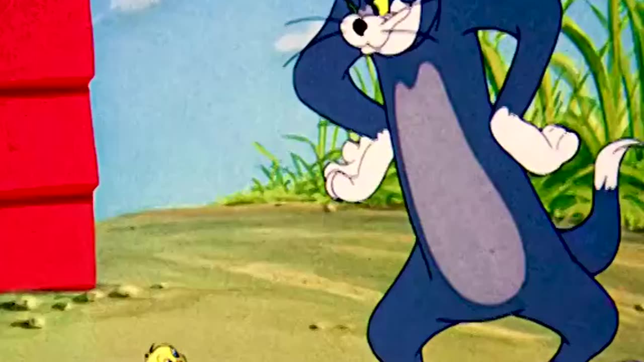 Tom and Jerry cartoon