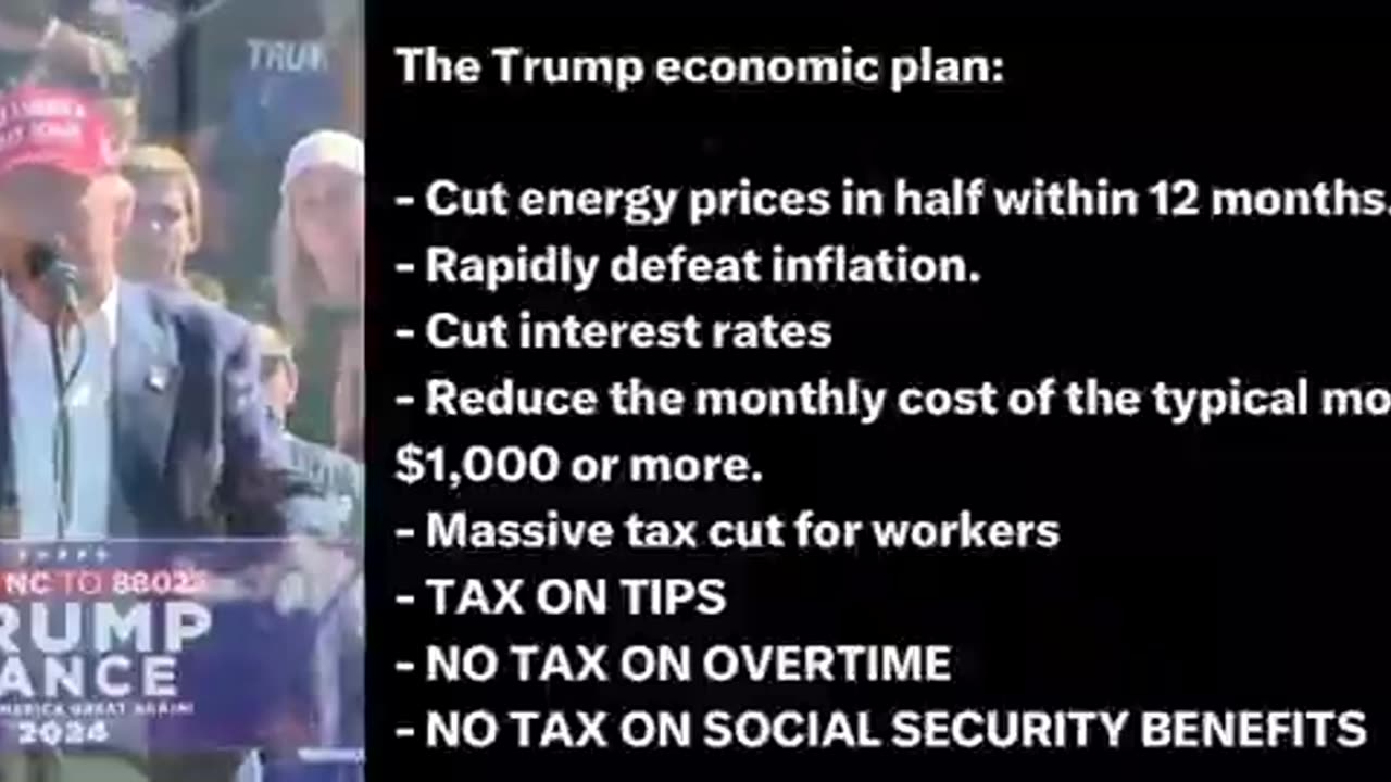 Donald Trumps economic plan for America