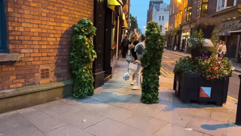 Bushman in Dublin