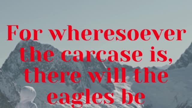 JESUS SAID... For wheresoever the carcase is, there will the eagles be gathered together.
