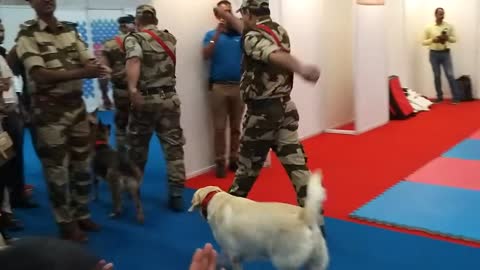 CISF में डॉग की Demonstration