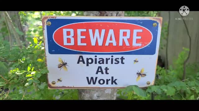 Adding Honey Supers to Both hives, part 1