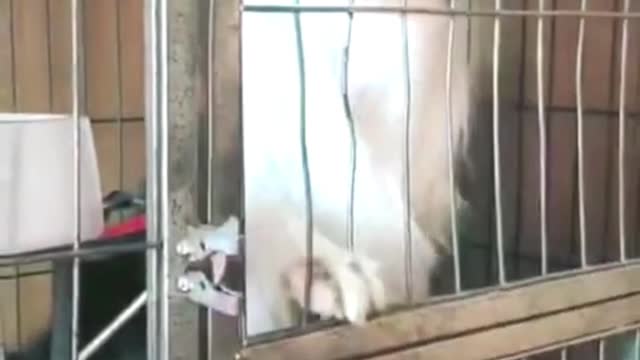 I want to be quiet for a while