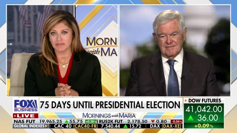 Newt Gingrich: Democrats ‘don’t want you to know who they are’ - August 22, 2024