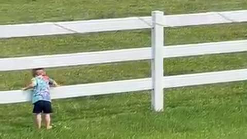 Little Boy Calls His Horse Friends To Him