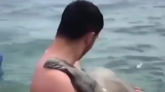Seal approaches man and hugs him