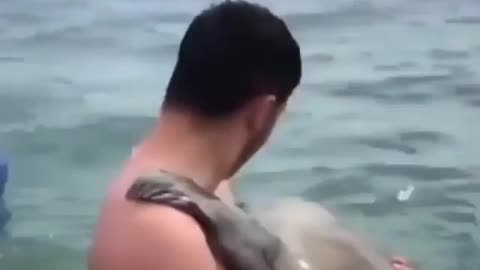 Seal approaches man and hugs him