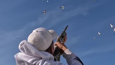 Snow Goose Hunt TRIPLE | Snow Goose Hunt 2023