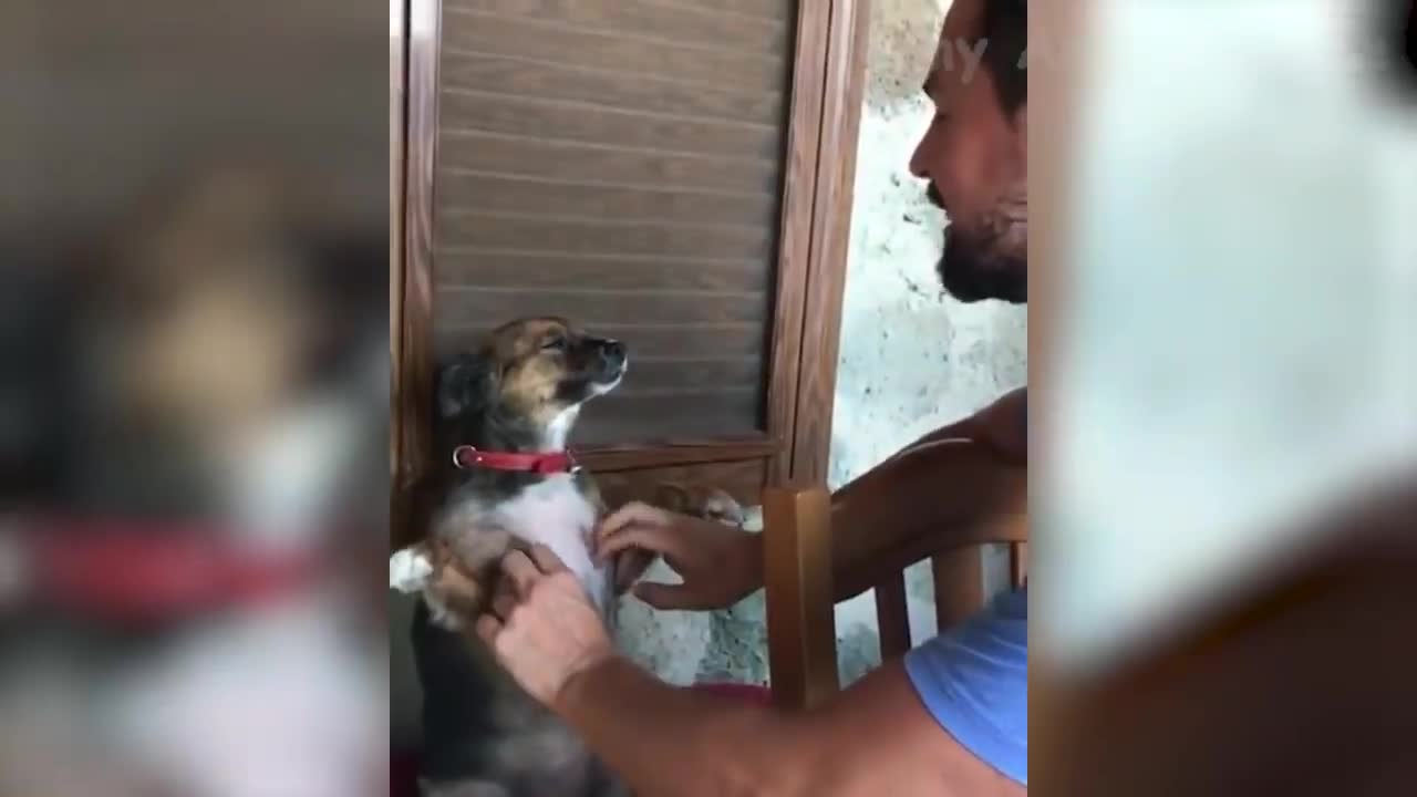 only few people can understand this video