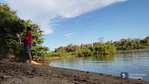 How to catch fish in AMAZONIA