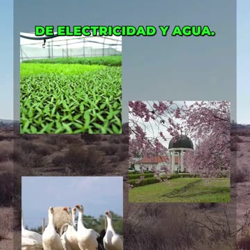 ¡Desbloquea tu potencial: aprovecha el poder de la propiedad de tierras con Ancestry Lands!