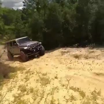 Playing in the woods. (for @harlisa2000)