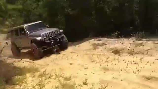 Playing in the woods. (for @harlisa2000)