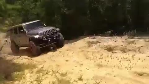 Playing in the woods. (for @harlisa2000)