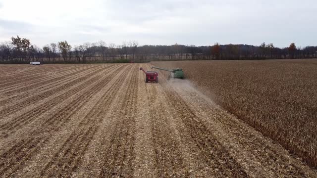 Indiana Corn Harvest