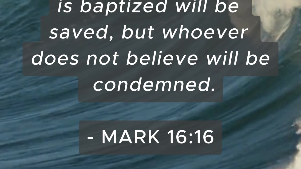 Bible Verse of the Day: September 3, 2024