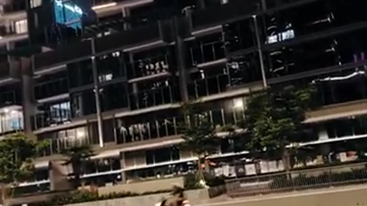 fatty demon pig - 2024 - October 12th part 001