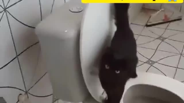 Vivi wants to use the vase!