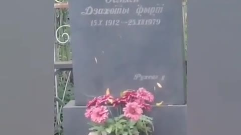 Dizasoxdu )))