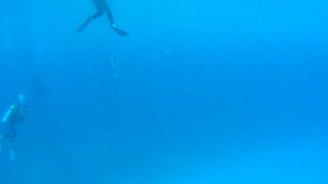 Cancun Mexico Carribean Scuba Diving Part 12