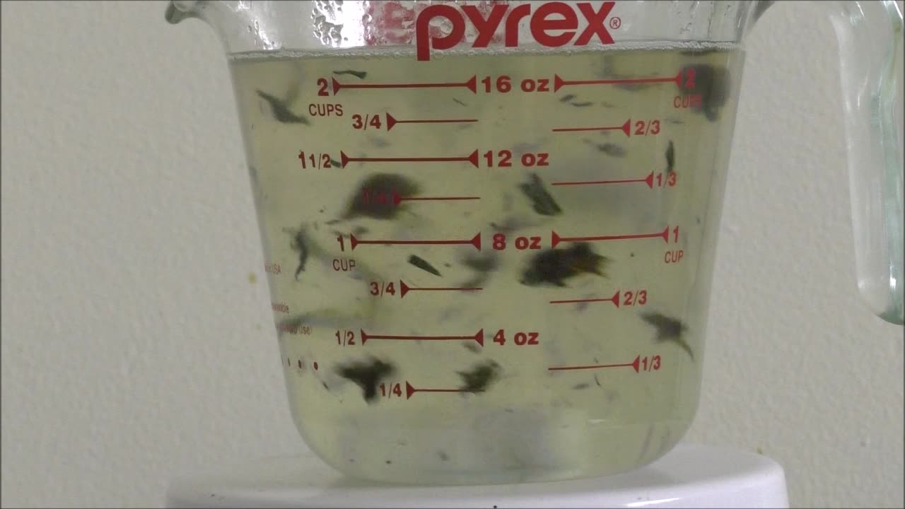 Coconut Oil Infusion Continued