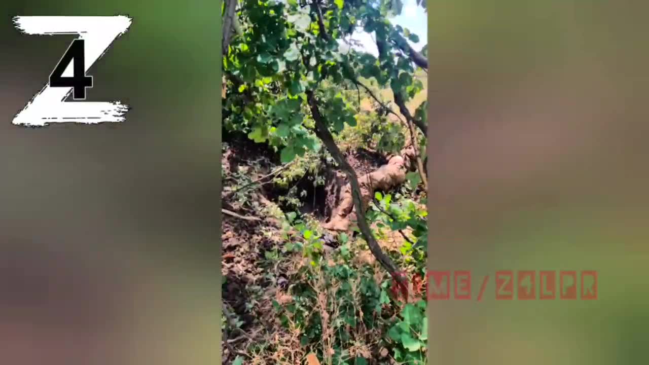 A snapshot of various war and peace moments from the 4th Motorized Rifle Brigade of the LNR.