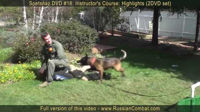 How to Defend Self Against Dog Attack