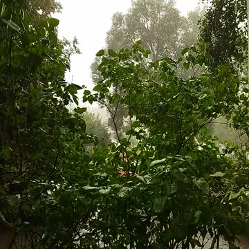 💦☔️The pouring heavy rain is flooding everything around 💦🌧️