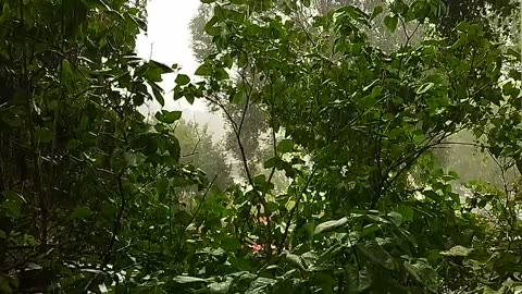 💦☔️The pouring heavy rain is flooding everything around 💦🌧️