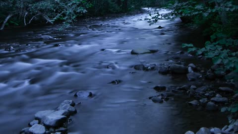 Rushing Forest River ASMR relaxing favorite v3